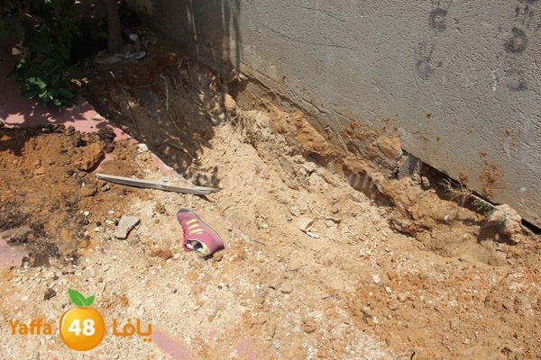 abo selmeiy 0528 (11).JPG